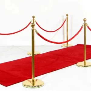 stanchions and red carpet