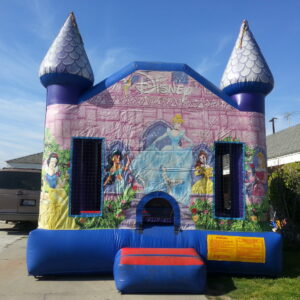 Disney Princess Castle