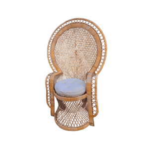 Peacock Chair